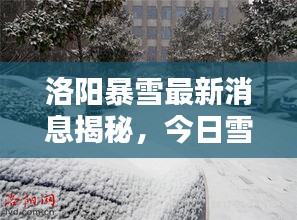 洛陽(yáng)暴雪最新消息揭秘，今日雪情動(dòng)態(tài)更新！