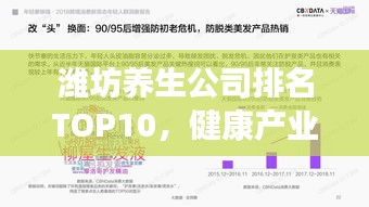濰坊養(yǎng)生公司排名TOP10，健康產(chǎn)業(yè)領(lǐng)軍者