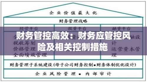 財(cái)務(wù)管控高效：財(cái)務(wù)應(yīng)管控風(fēng)險(xiǎn)及相關(guān)控制措施 
