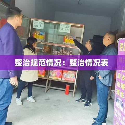 整治規(guī)范情況：整治情況表 