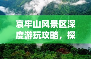 哀牢山風(fēng)景區(qū)深度游玩攻略，探秘自然奇觀，體驗絕佳旅游路線！