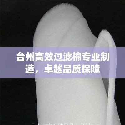 臺(tái)州高效過(guò)濾棉專業(yè)制造，卓越品質(zhì)保障