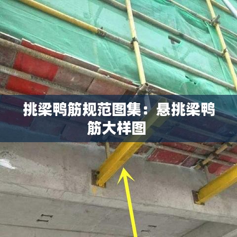 挑梁鴨筋規(guī)范圖集：懸挑梁鴨筋大樣圖 