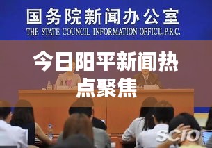 今日陽(yáng)平新聞熱點(diǎn)聚焦