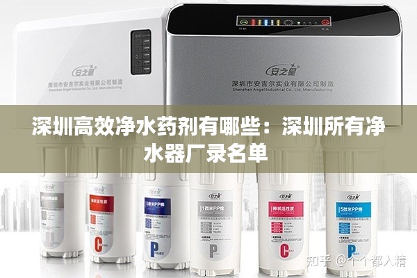 深圳高效凈水藥劑有哪些：深圳所有凈水器廠錄名單 