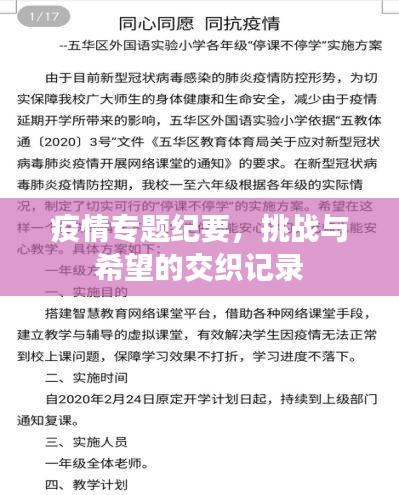 疫情專題紀(jì)要，挑戰(zhàn)與希望的交織記錄