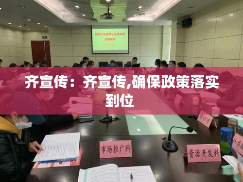 齊宣傳：齊宣傳,確保政策落實(shí)到位 