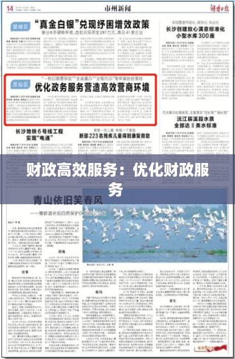 財(cái)政高效服務(wù)：優(yōu)化財(cái)政服務(wù) 