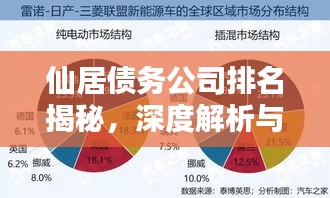 仙居債務(wù)公司排名揭秘，深度解析與比較