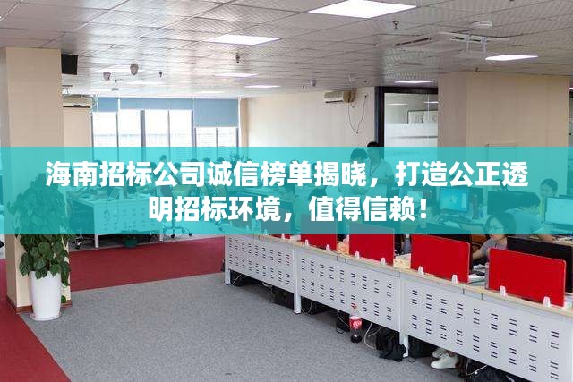 海南招標(biāo)公司誠信榜單揭曉，打造公正透明招標(biāo)環(huán)境，值得信賴！