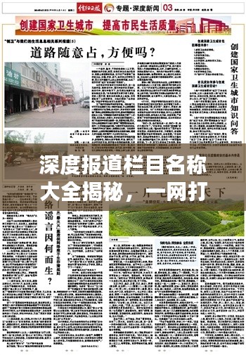 深度報(bào)道欄目名稱大全揭秘，一網(wǎng)打盡各類精彩標(biāo)題！