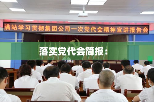 落實黨代會簡報： 