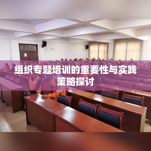 組織專題培訓的重要性與實踐策略探討