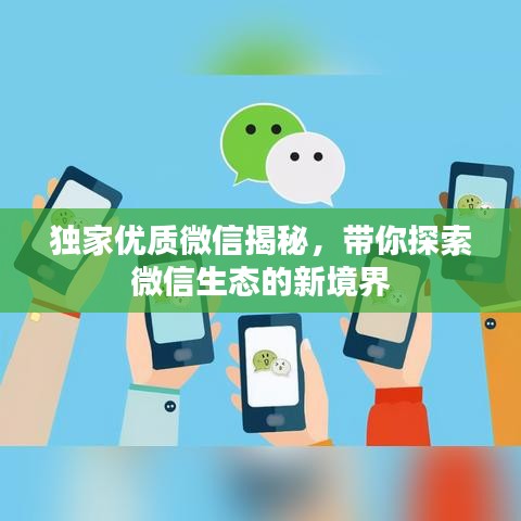 獨家優(yōu)質(zhì)微信揭秘，帶你探索微信生態(tài)的新境界