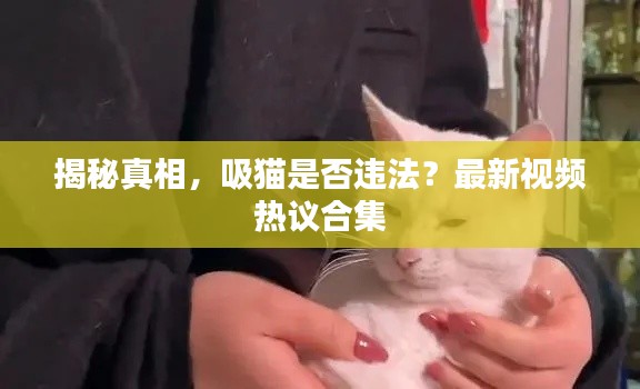 揭秘真相，吸貓是否違法？最新視頻熱議合集