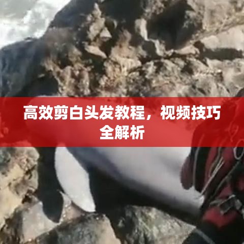 高效剪白頭發(fā)教程，視頻技巧全解析