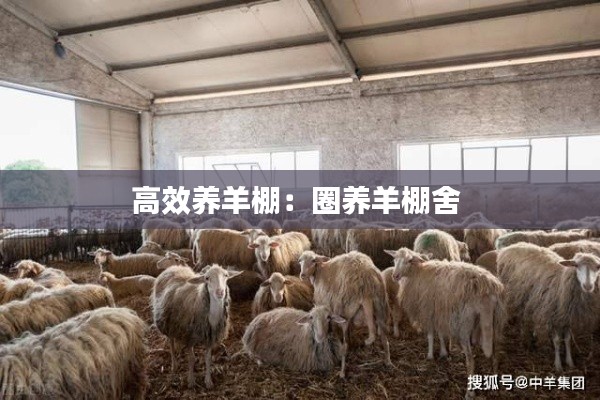 矢志不渝 第2頁