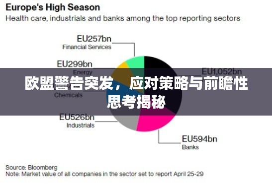 歐盟警告突發(fā)，應對策略與前瞻性思考揭秘