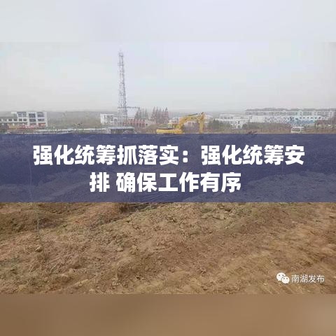強(qiáng)化統(tǒng)籌抓落實(shí)：強(qiáng)化統(tǒng)籌安排 確保工作有序 