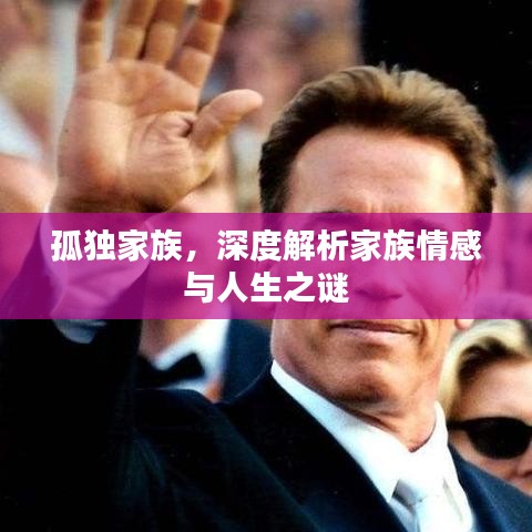 孤獨(dú)家族，深度解析家族情感與人生之謎