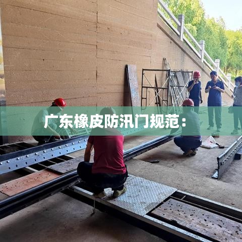 廣東橡皮防汛門(mén)規(guī)范： 