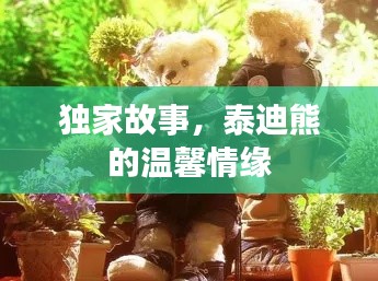 獨(dú)家故事，泰迪熊的溫馨情緣