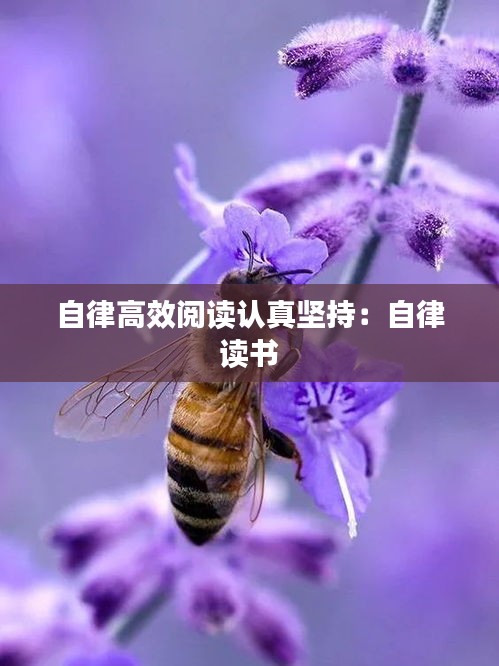 自律高效閱讀認(rèn)真堅(jiān)持：自律 讀書 