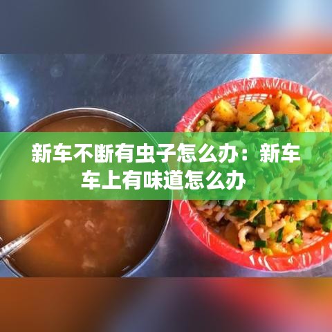新車不斷有蟲子怎么辦：新車車上有味道怎么辦 