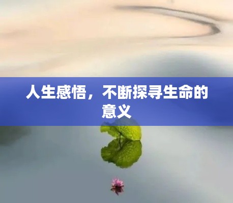 人生感悟，不斷探尋生命的意義