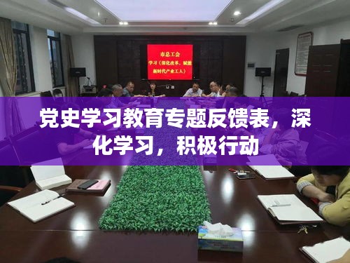 黨史學(xué)習(xí)教育專(zhuān)題反饋表，深化學(xué)習(xí)，積極行動(dòng)