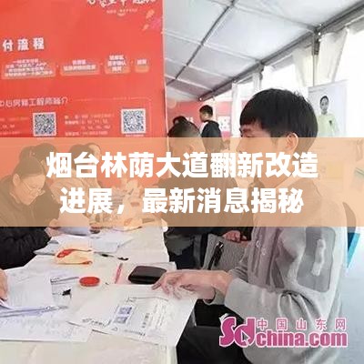 煙臺林蔭大道翻新改造進展，最新消息揭秘