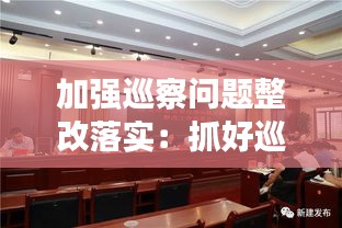 加強(qiáng)巡察問題整改落實(shí)：抓好巡察問題整改 