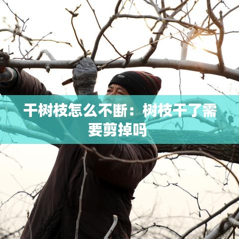 干樹枝怎么不斷：樹枝干了需要剪掉嗎 