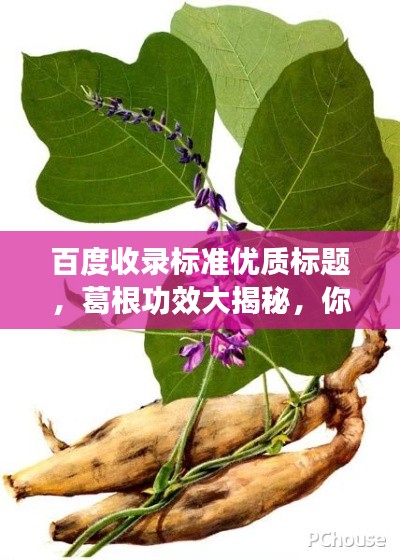 不知所云 第2頁(yè)