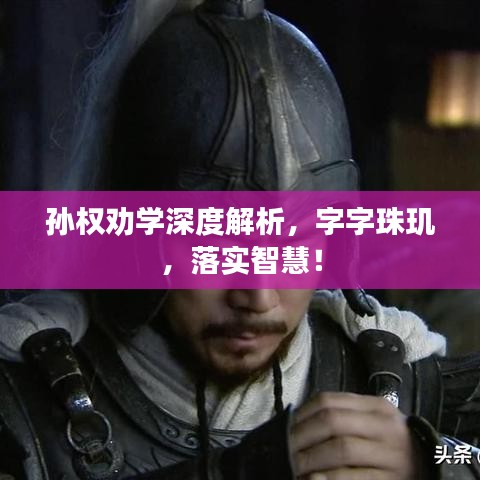 孫權(quán)勸學(xué)深度解析，字字珠璣，落實(shí)智慧！