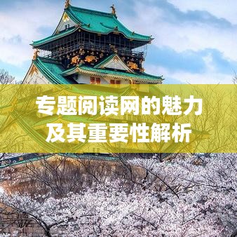 專題閱讀網(wǎng)的魅力及其重要性解析