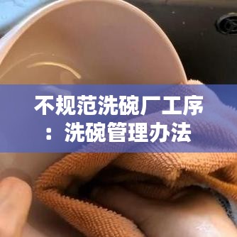 不規(guī)范洗碗廠工序：洗碗管理辦法 