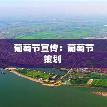 葡萄節(jié)宣傳：葡萄節(jié)策劃 