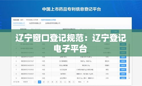 遼寧窗口登記規(guī)范：遼寧登記電子平臺(tái) 