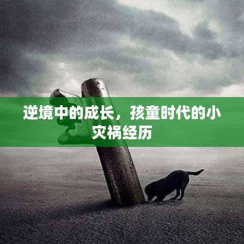 逆境中的成長，孩童時代的小災(zāi)禍經(jīng)歷
