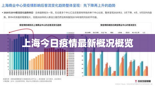 上海今日疫情最新概況概覽