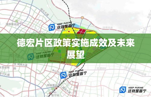 德宏片區(qū)政策實(shí)施成效及未來(lái)展望
