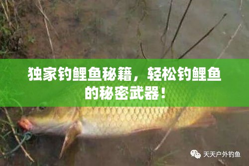 林下風氣 第2頁