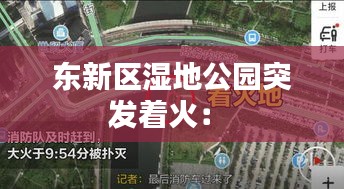 飛揚跋扈 第2頁