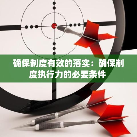 確保制度有效的落實：確保制度執(zhí)行力的必要條件 