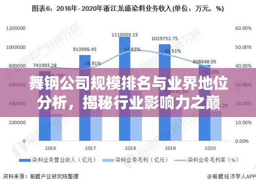 舞鋼公司規(guī)模排名與業(yè)界地位分析，揭秘行業(yè)影響力之巔