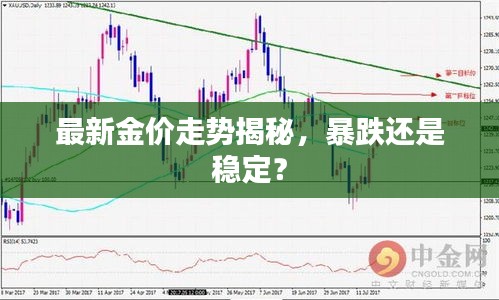 最新金價(jià)走勢(shì)揭秘，暴跌還是穩(wěn)定？