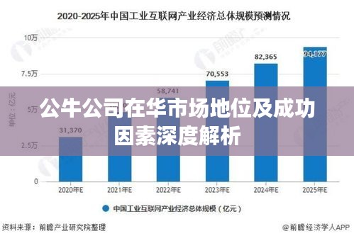 公牛公司在華市場地位及成功因素深度解析