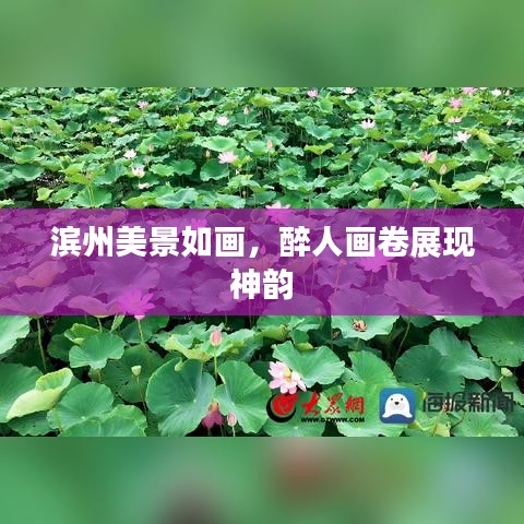濱州美景如畫(huà)，醉人畫(huà)卷展現(xiàn)神韻