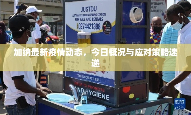 加納最新疫情動(dòng)態(tài)，今日概況與應(yīng)對(duì)策略速遞